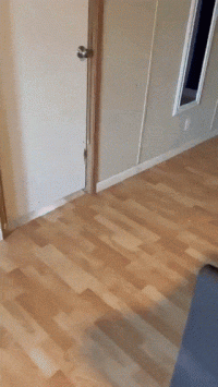 241493538.gif