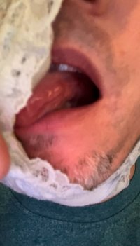 IMG_1226.jpeg