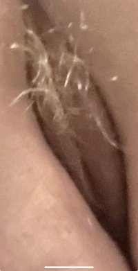 IMG_3819.jpeg
