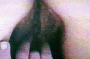 IMG_3943.jpeg