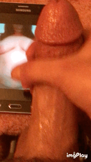 f24893504.gif