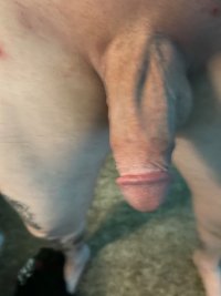 IMG_0291.jpeg