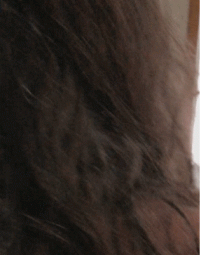 IMG_4577.gif