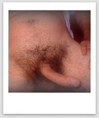 cock .jpg