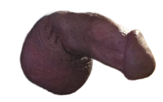 IMG_7137.PNG