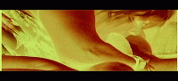 BIG COCK SUCK IN GOLD INVERT.gif