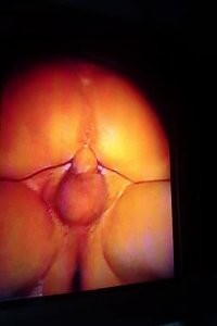 VID_0522 - frame at 3m23s098.jpg