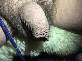 IMG_1522.jpeg