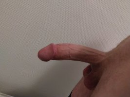 746.jpg