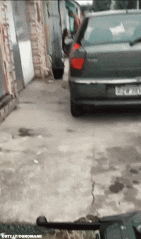 500282285.gif