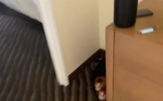 513127650.gif