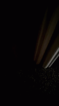562846488.gif