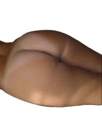 ass44.jpg