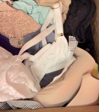 IMG_9542.jpeg