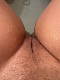 IMG_2459.jpeg