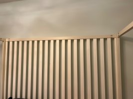 IMG_3828.jpeg