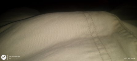 IMG_20251008_121937362.jpg