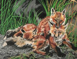 My foxes.jpg