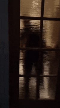 1452461575.gif