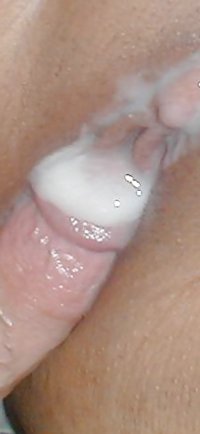 IMG_2184.jpeg