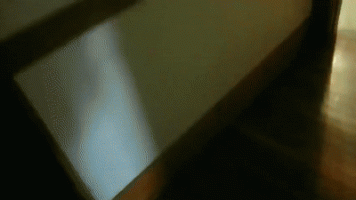 1549139170.gif