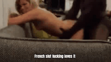 1559669066.gif