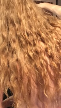 IMG_1154.jpeg
