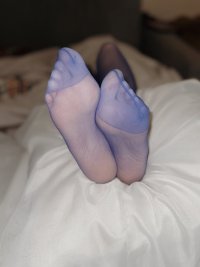 IMG_2246.jpeg