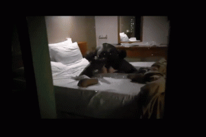1694237044.gif