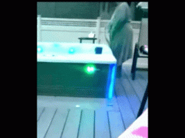 Untitled video - Made with Clipchamp (47).gif