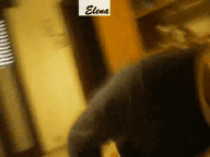 prova7a intero(3).gif