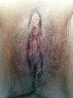 img14.jpg