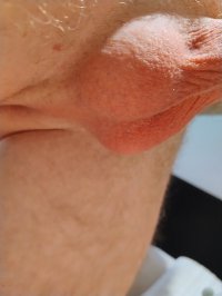 1000014003.jpg 1000014003.jpg