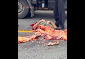 xgore-elderly-woman-killed-in-hitandrun-432tfbvsf.jpg
