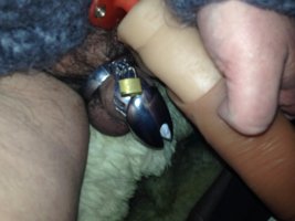 IMG_9931.jpeg