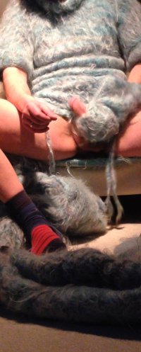 IMG_5036.jpeg