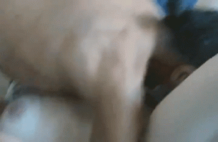 20260327_131553.gif