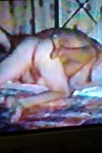 003 - frame at 2m1s.jpg