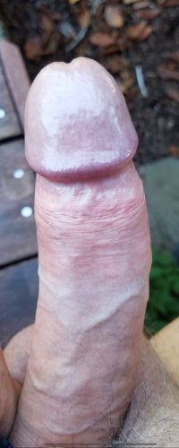 IMG_4873.jpeg