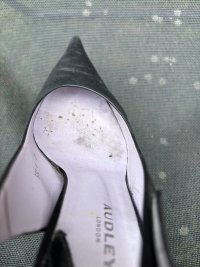 IMG_4306.JPEG