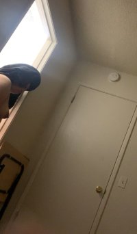 IMG_3137.jpeg