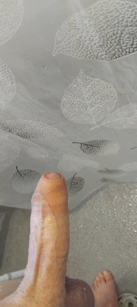 IMG_20260225_163143.jpg
