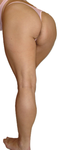legs & ass (2).png