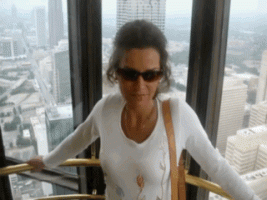 The evelvator.GIF