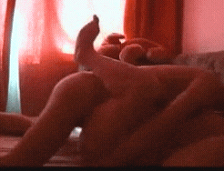 GIF_20260517_183145_629.gif