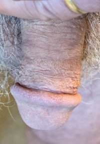 IMG_0911.jpeg