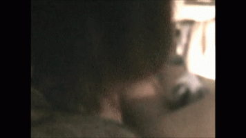 15263.gif