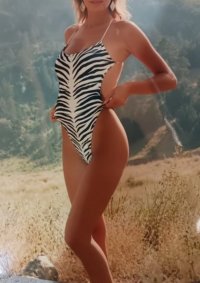 zebra.jpg