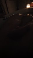 201910267884249407294444023.jpg