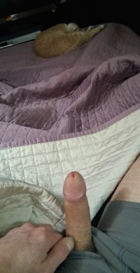1000001019.jpg